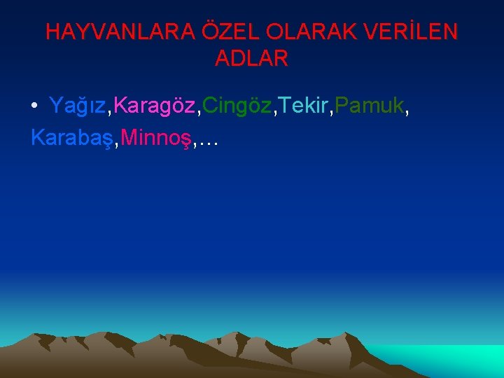 HAYVANLARA ÖZEL OLARAK VERİLEN ADLAR • Yağız, Karagöz, Cingöz, Tekir, Pamuk, Karabaş, Minnoş, …