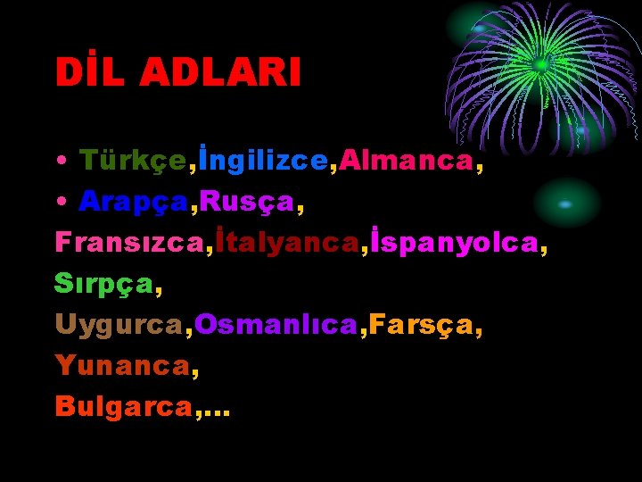 DİL ADLARI • Türkçe, İngilizce, Almanca, • Arapça, Rusça, Fransızca, İtalyanca, İspanyolca, Sırpça, Uygurca,