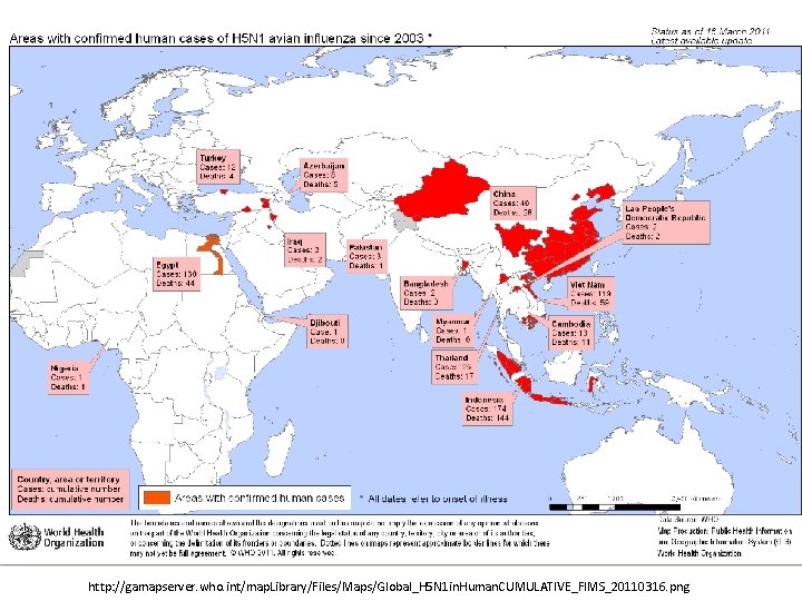 http: //gamapserver. who. int/map. Library/Files/Maps/Global_H 5 N 1 in. Human. CUMULATIVE_FIMS_20110316. png 