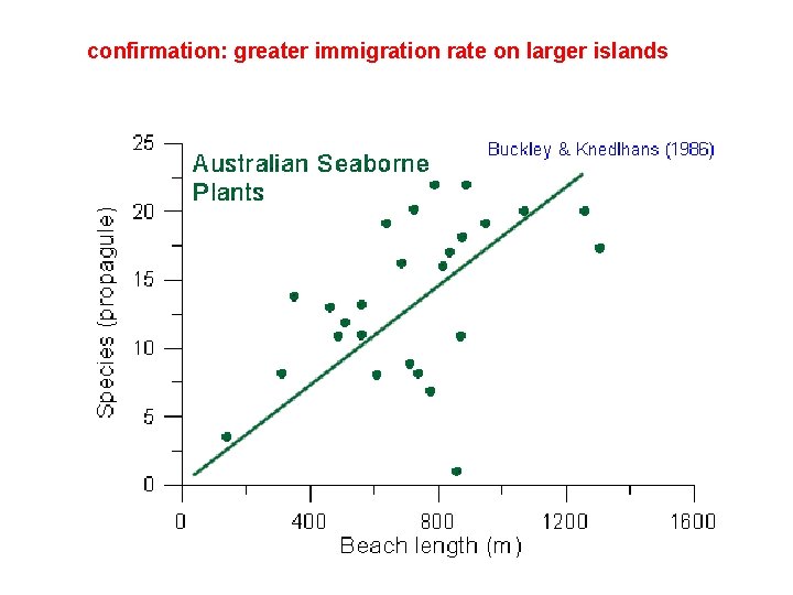 confirmation: greater immigration rate on larger islands 