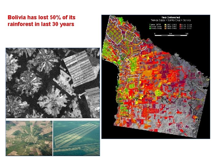 Bolivia has lost 50% of its rainforest in last 30 years 