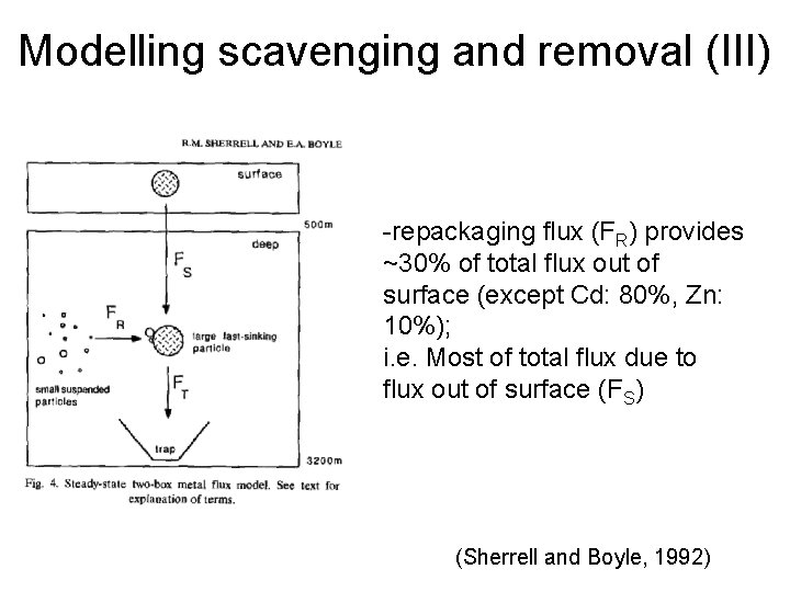 Modelling scavenging and removal (III) -repackaging flux (FR) provides ~30% of total flux out