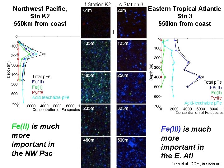 Northwest Pacific, Stn K 2 550 km from coast Total p. Fe Fe(III) Fe(II)