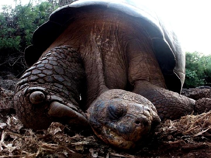 26 G-PCS-0268/GLB. ALI. 13. 07. 22 