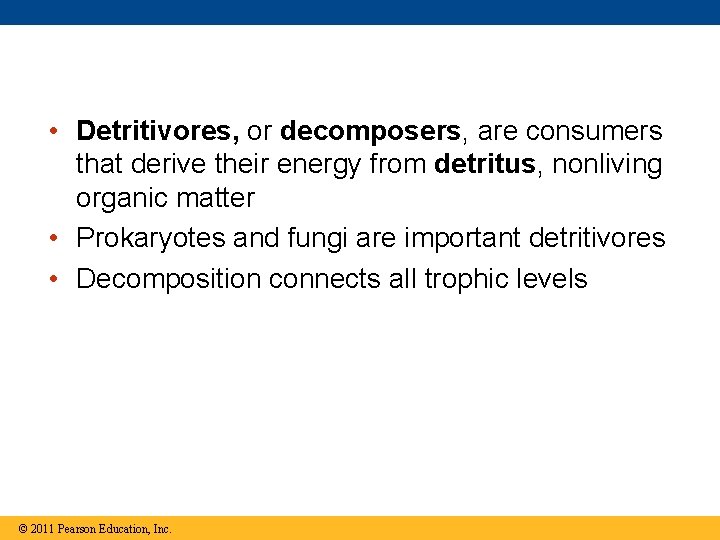  • Detritivores, or decomposers, are consumers that derive their energy from detritus, nonliving