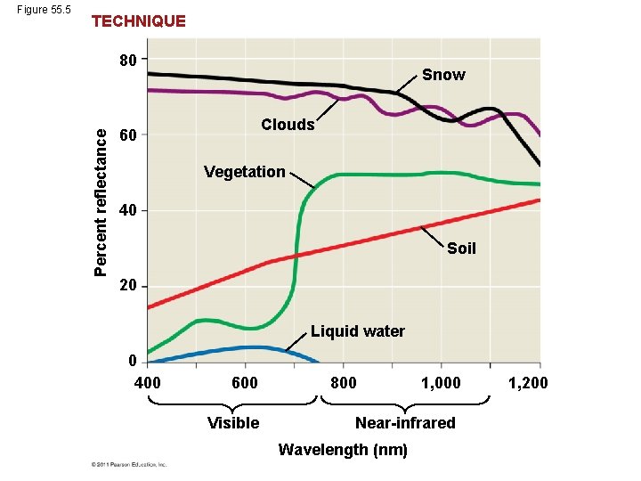TECHNIQUE 80 Percent reflectance Figure 55. 5 Snow Clouds 60 Vegetation 40 Soil 20