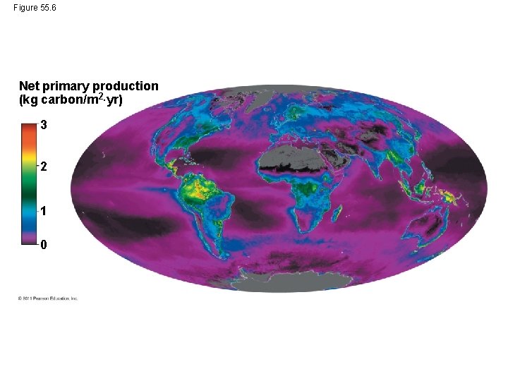 Figure 55. 6 Net primary production (kg carbon/m 2 yr) 3 2 1 0