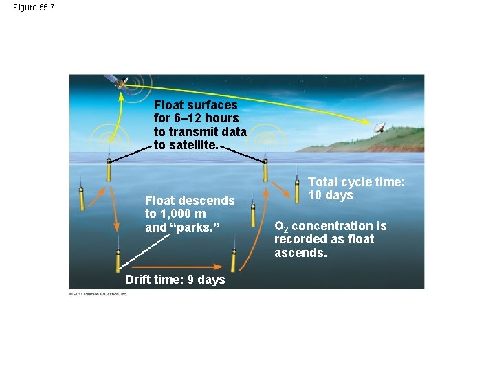Figure 55. 7 Float surfaces for 6– 12 hours to transmit data to satellite.