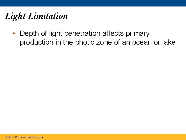 Light Limitation • Depth of light penetration affects primary production in the photic zone