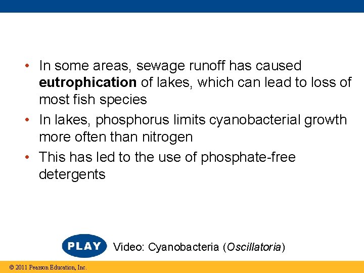  • In some areas, sewage runoff has caused eutrophication of lakes, which can