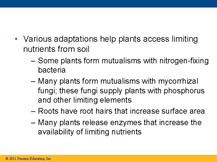  • Various adaptations help plants access limiting nutrients from soil – Some plants