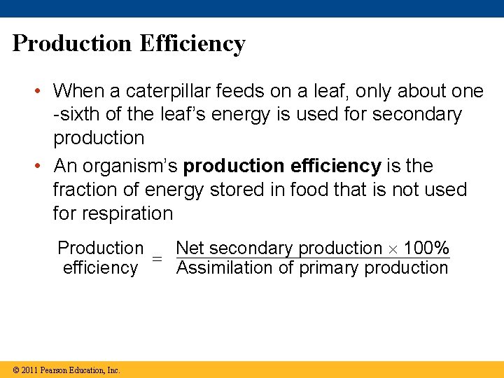 Production Efficiency • When a caterpillar feeds on a leaf, only about one -sixth