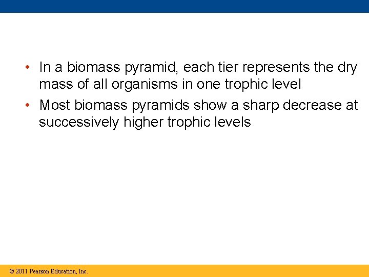  • In a biomass pyramid, each tier represents the dry mass of all
