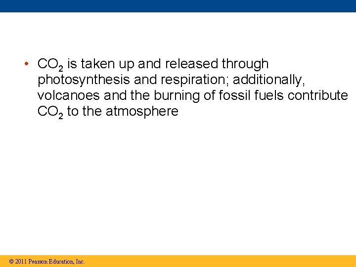  • CO 2 is taken up and released through photosynthesis and respiration; additionally,