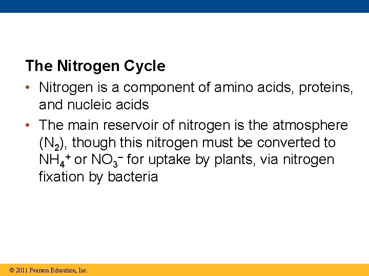 The Nitrogen Cycle • Nitrogen is a component of amino acids, proteins, and nucleic