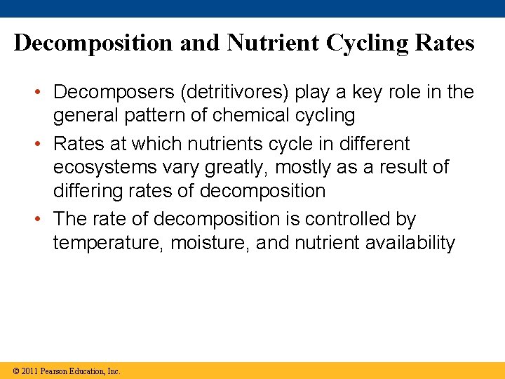 Decomposition and Nutrient Cycling Rates • Decomposers (detritivores) play a key role in the