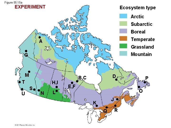 Figure 55. 15 a EXPERIMENT Ecosystem type Arctic Subarctic Boreal Temperate A Grassland Mountain