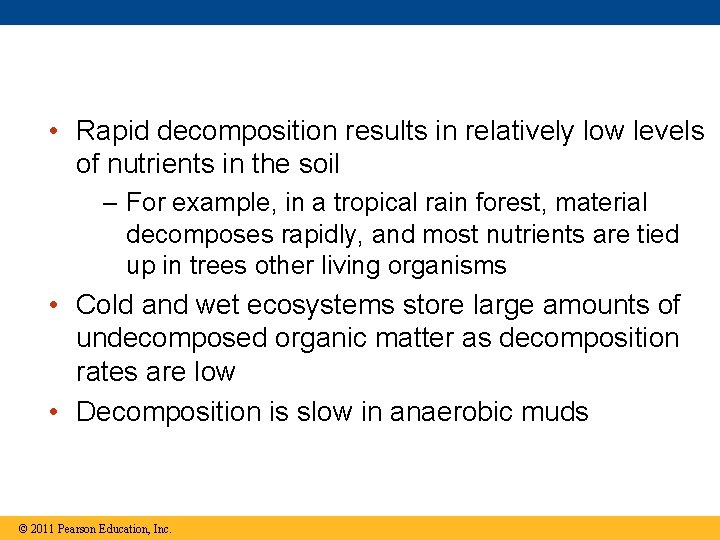  • Rapid decomposition results in relatively low levels of nutrients in the soil