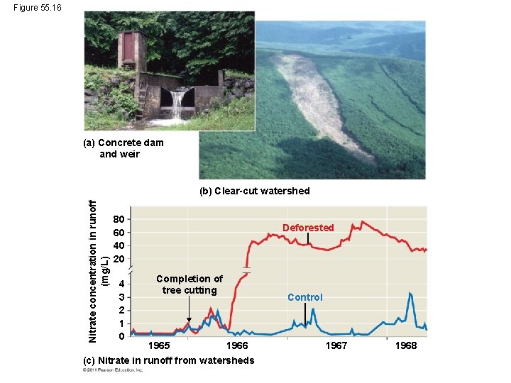 Figure 55. 16 (a) Concrete dam and weir Nitrate concentration in runoff (mg/L) (b)