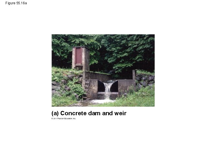 Figure 55. 16 a (a) Concrete dam and weir 