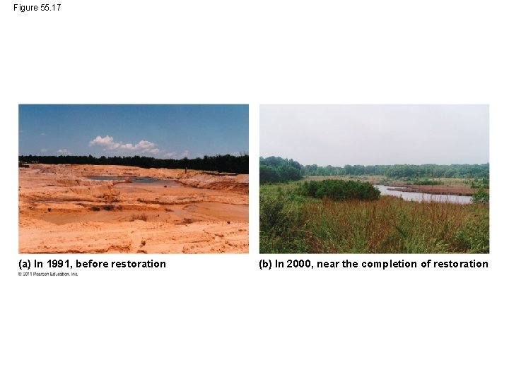 Figure 55. 17 (a) In 1991, before restoration (b) In 2000, near the completion