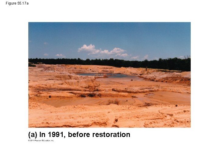 Figure 55. 17 a (a) In 1991, before restoration 