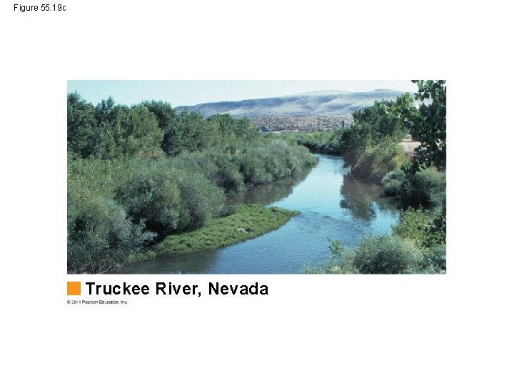 Figure 55. 19 c Truckee River, Nevada 