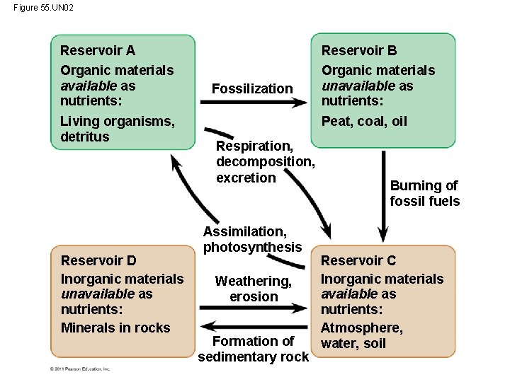 Figure 55. UN 02 Reservoir A Organic materials available as nutrients: Living organisms, detritus