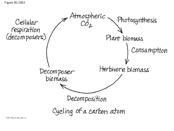 Figure 55. UN 03 