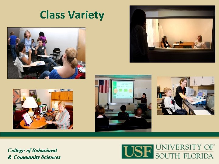 Class Variety College of Behavioral & Community Sciences 