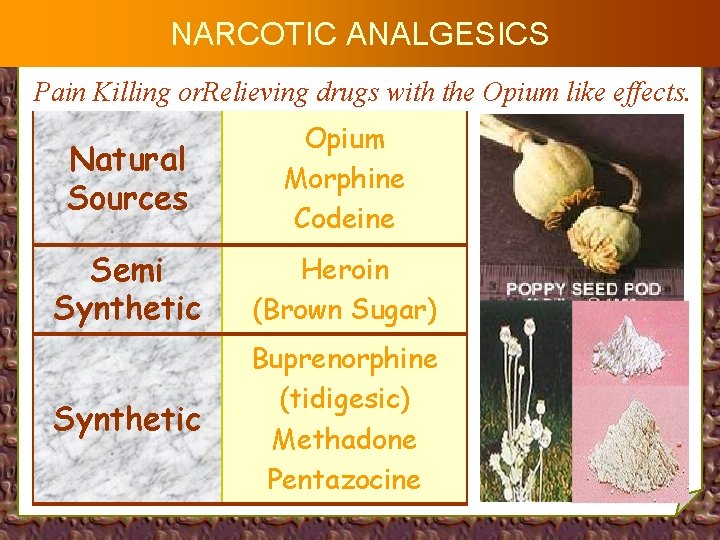 NARCOTIC ANALGESICS Pain Killing or. Relieving drugs with the Opium like effects. Natural Sources