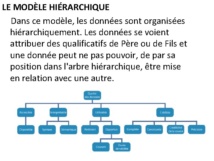 LE MODÈLE HIÉRARCHIQUE Dans ce modèle, les données sont organisées hiérarchiquement. Les données se