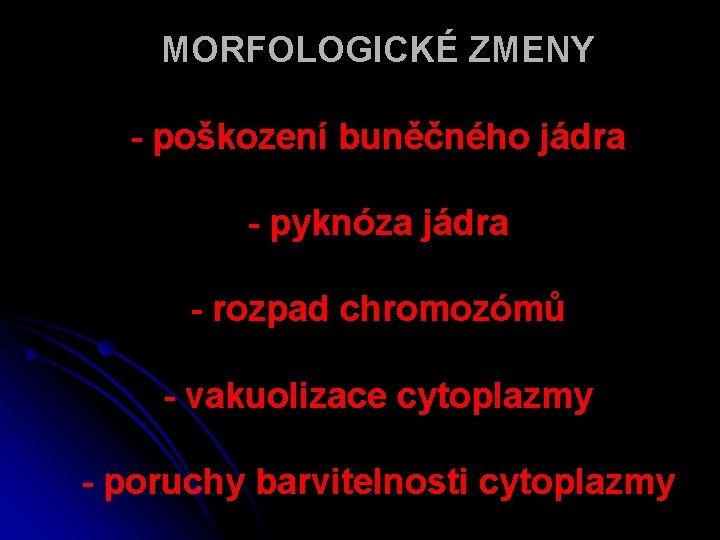 MORFOLOGICKÉ ZMENY - poškození buněčného jádra - pyknóza jádra - rozpad chromozómů - vakuolizace