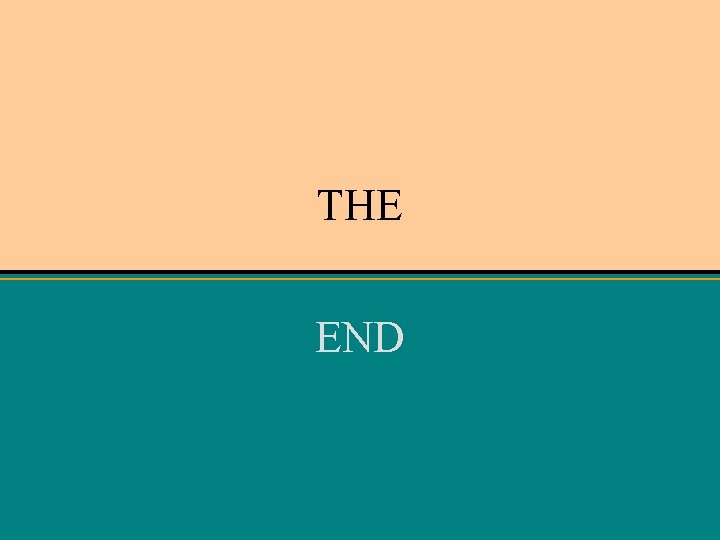 THE END 