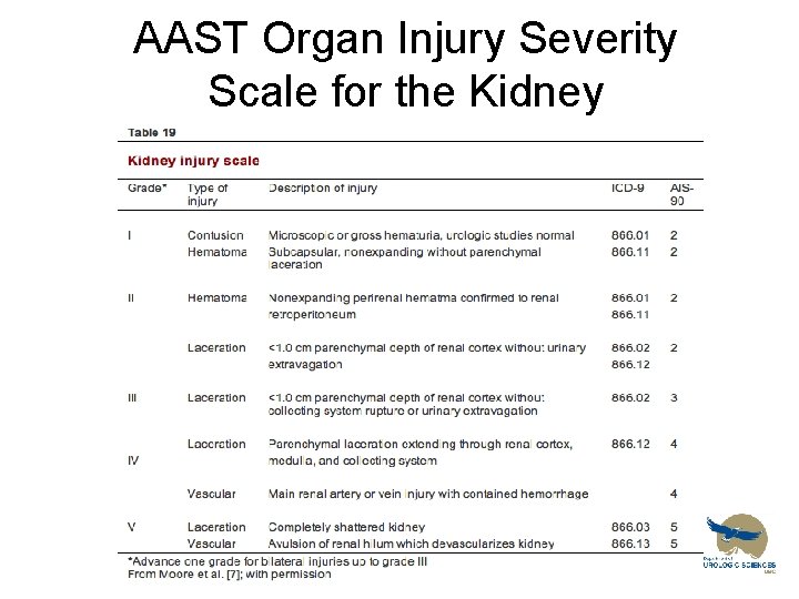 AAST Organ Injury Severity Scale for the Kidney 