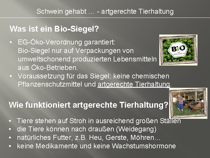 Schwein gehabt … - artgerechte Tierhaltung Was ist ein Bio-Siegel? • EG-Öko-Verordnung garantiert: Bio-Siegel