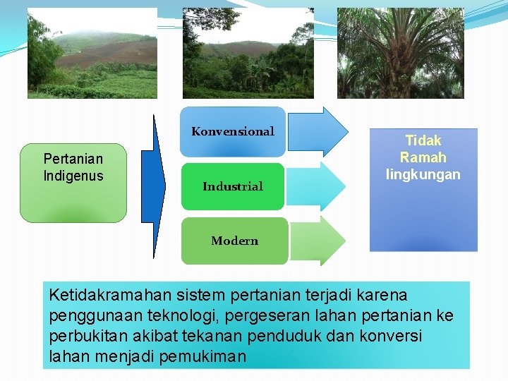 Konvensional Pertanian Indigenus Industrial Tidak Ramah lingkungan Modern Ketidakramahan sistem pertanian terjadi karena penggunaan