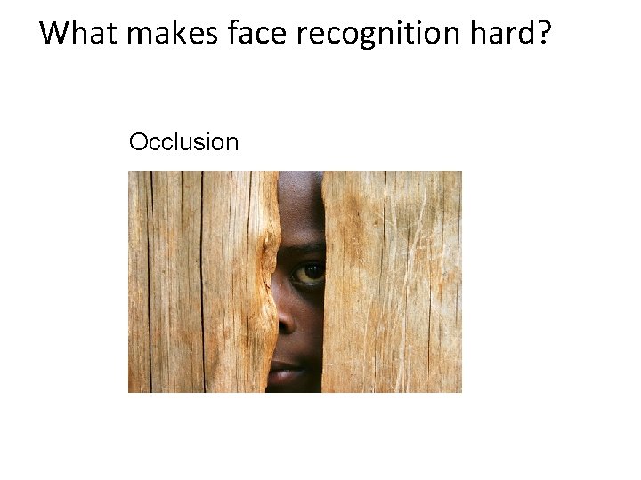 What makes face recognition hard? Occlusion 