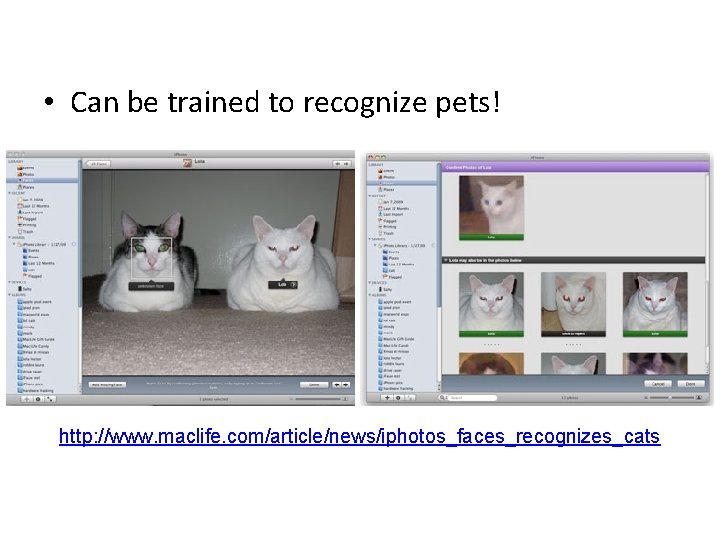  • Can be trained to recognize pets! http: //www. maclife. com/article/news/iphotos_faces_recognizes_cats 