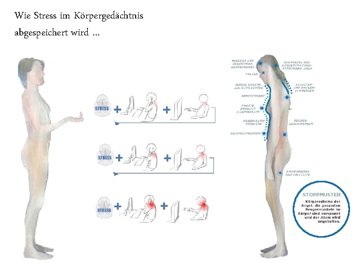 Wie Stress im Körpergedächtnis abgespeichert wird … 