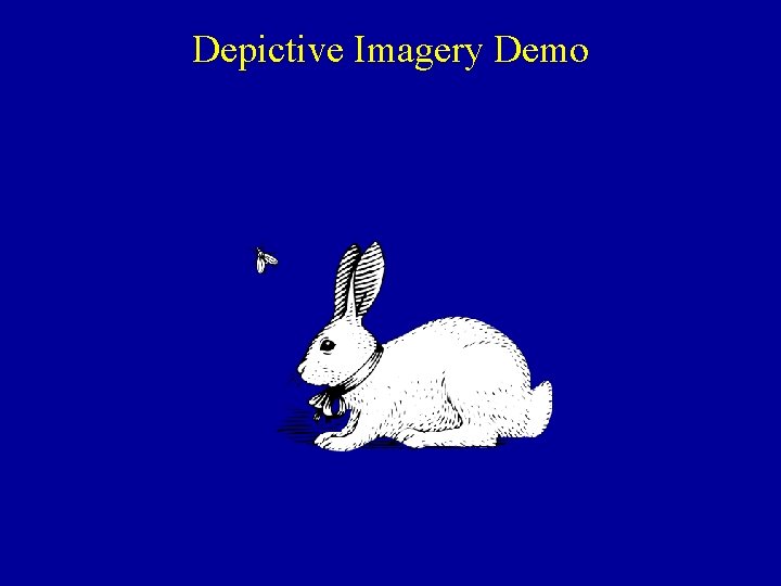 Depictive Imagery Demo 