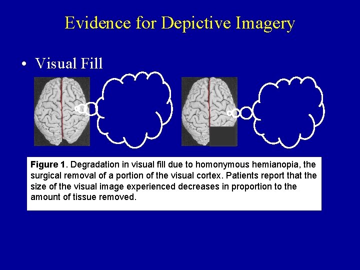 Evidence for Depictive Imagery • Visual Fill Figure 1. Degradation in visual fill due