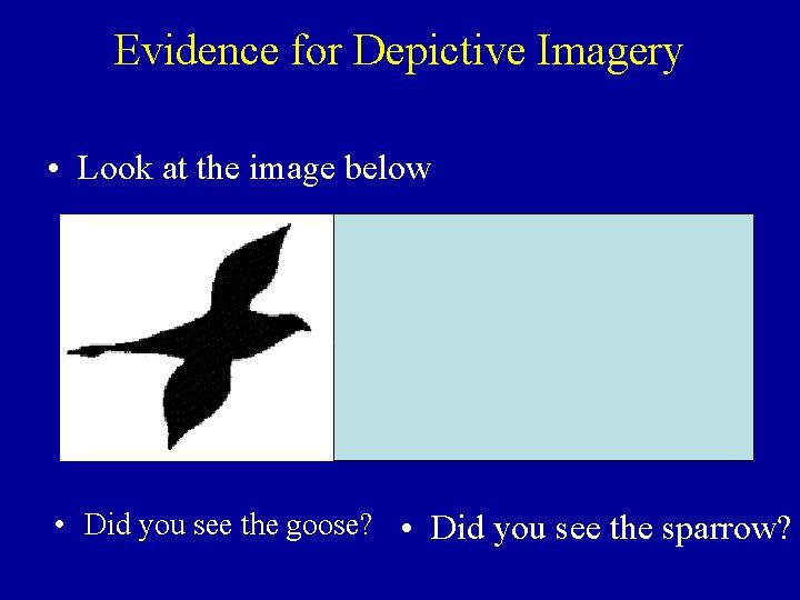 Evidence for Depictive Imagery • Look at the image below • Did you see
