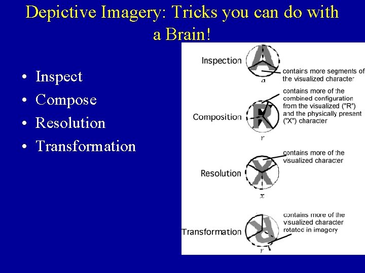Depictive Imagery: Tricks you can do with a Brain! • • Inspect Compose Resolution