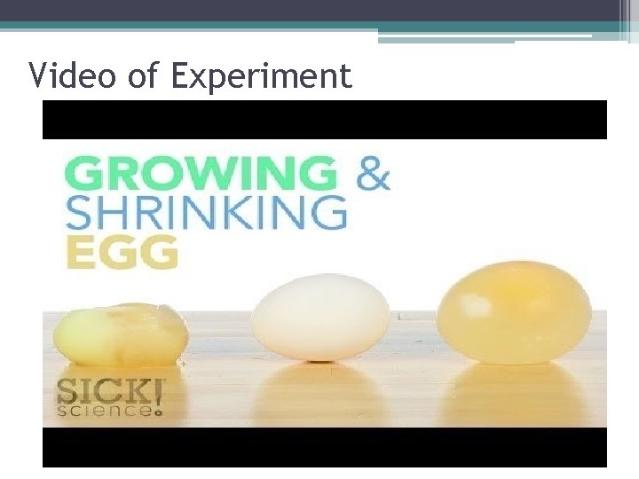 Video of Experiment  Video of Experiment
