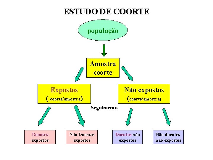 ESTUDO DE COORTE população Amostra coorte Expostos Não expostos (coorte/amostra) ( coorte/amostra) Seguimento Doentes