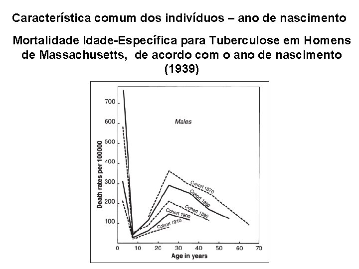 Característica comum dos indivíduos – ano de nascimento Mortalidade Idade-Específica para Tuberculose em Homens