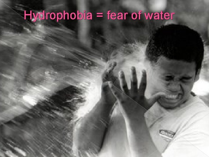 Hydrophobia = fear of water 