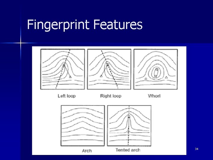 Fingerprint Features 34 