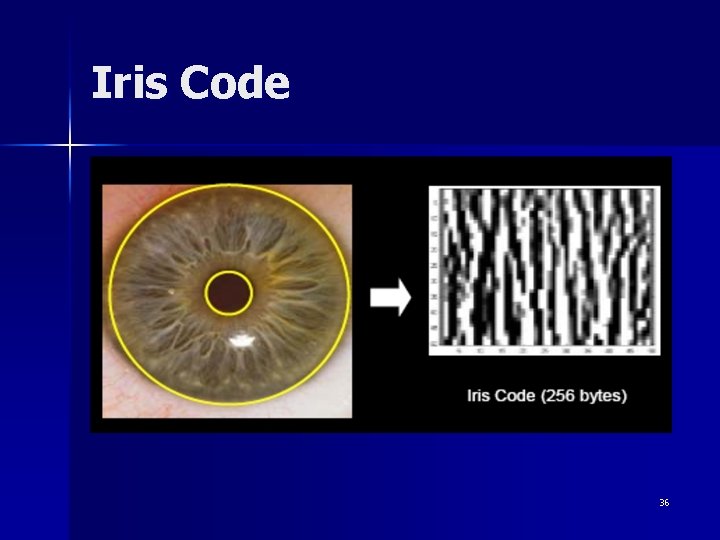 Iris Code 36 